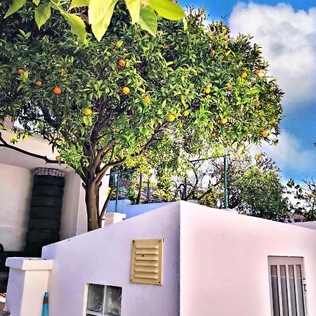 House Mansion Campolide 住宿加早餐酒店 *