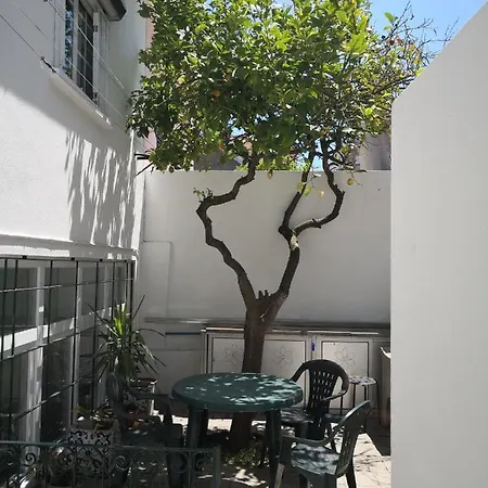 House Mansion Campolide